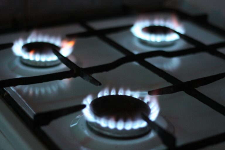 The Washington Examiner: With gas stove ban, the Biden administration proposed regulation over innovation